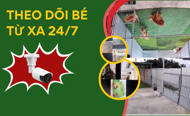 Camara theo dõi khu tập thể lực va khu vui chơi ngoài trời tại Tân khuyển