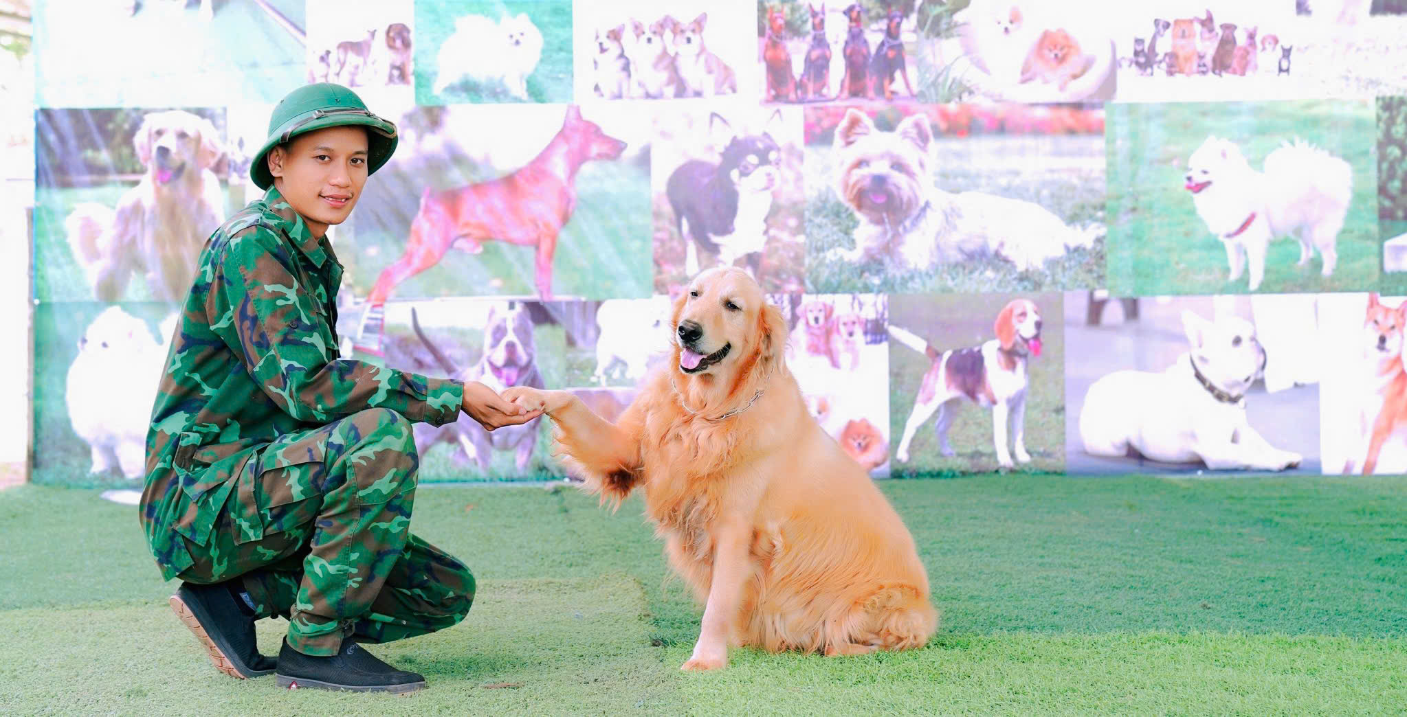 HUẤN LUYỆN CHÓ CƠ BẢN