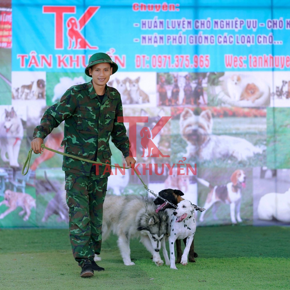 Huấn luyện chó cảnh – Bí quyết phát triển hành vi tốt và tạo mối quan hệ gắn bó