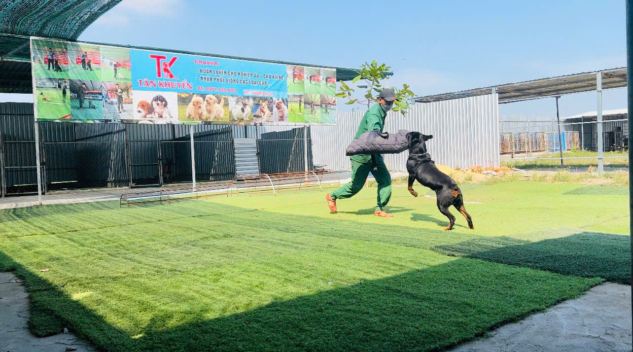 HUẤN LUYỆN CHÓ NGHIỆP VỤ CAO CẤP
