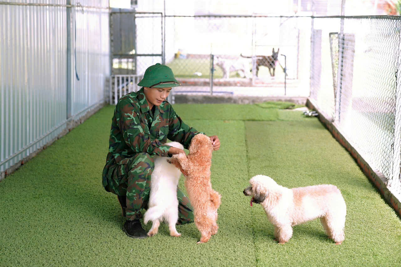 HUẤN LUYỆN CHÓ ĐẶC BIỆT THEO YÊU CẦU