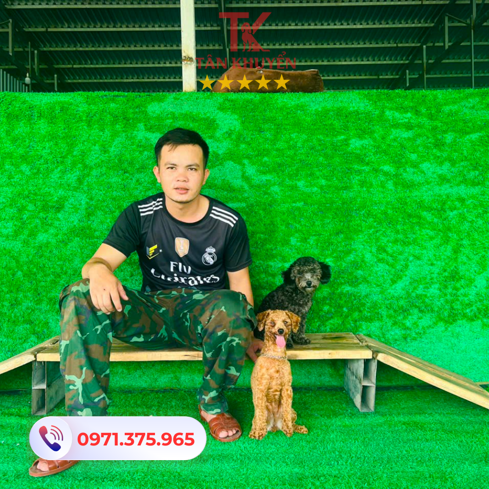 Các dịch vụ nổi bật tại các trung tâm huấn luyện chó Quận 6