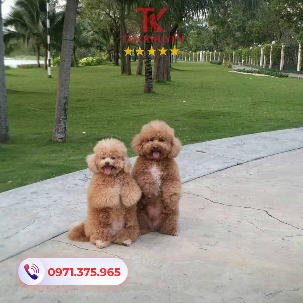 Các dịch vụ nổi bật tại trung tâm