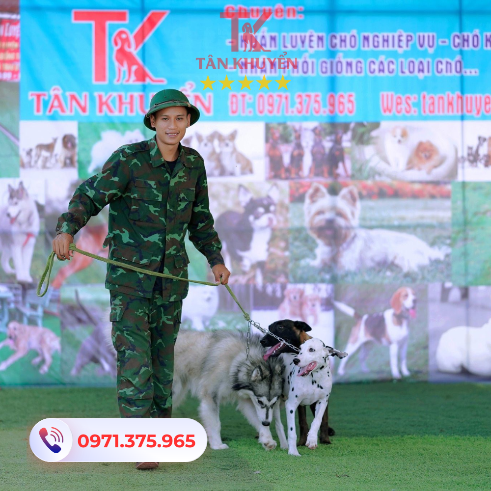 Các kỹ năng chủ chó sẽ nhận được sau khóa huấn luyện