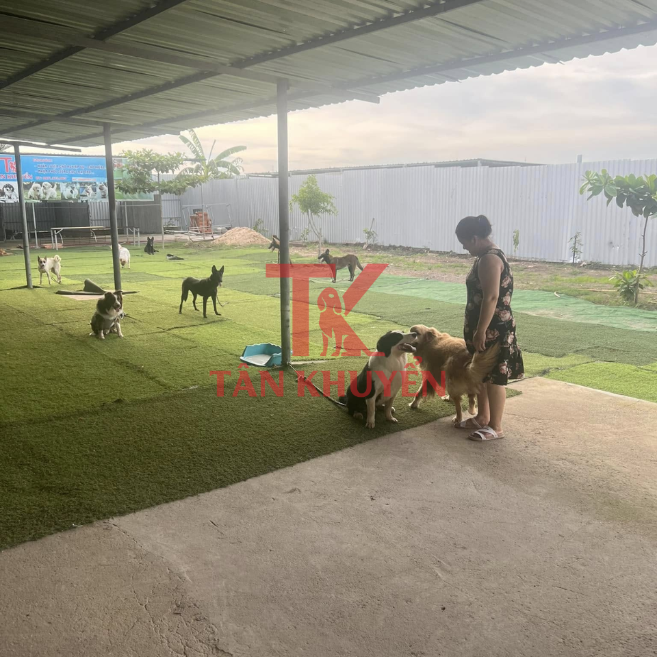 Các lưu ý quan trọng trong quá trình huấn luyện