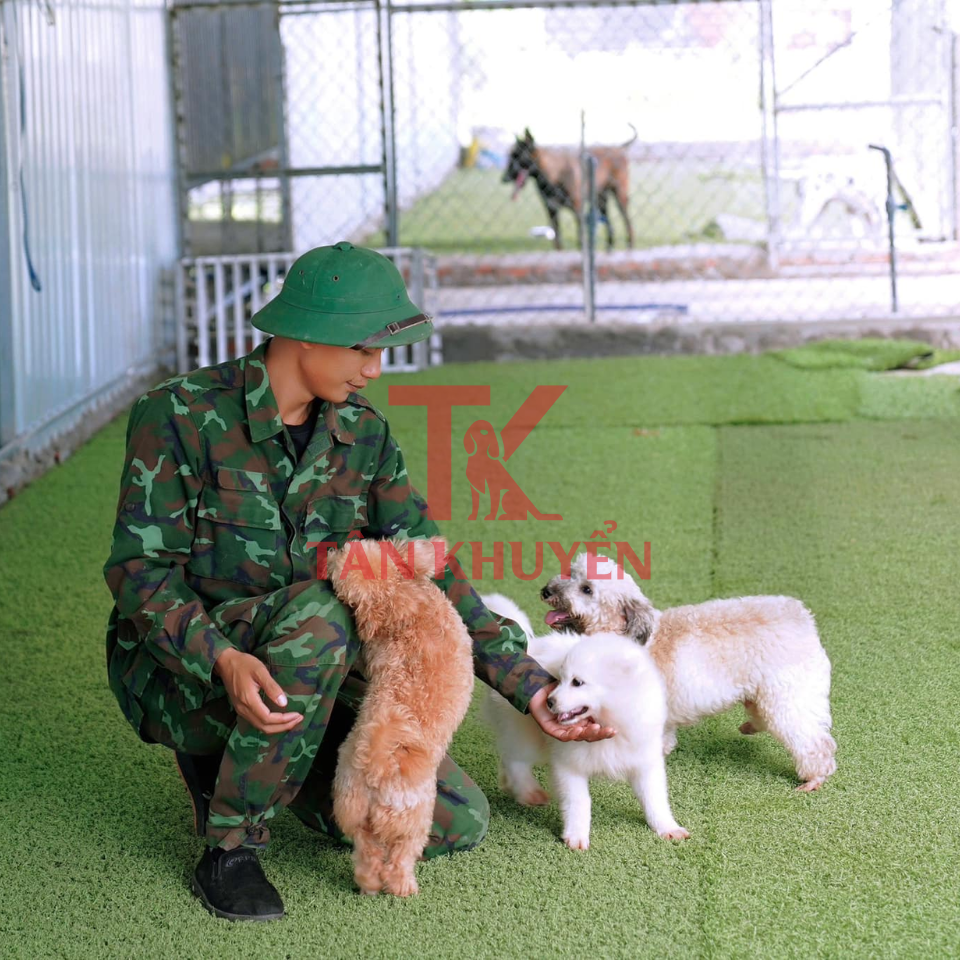 Các phương pháp huấn luyện hiện đại phù hợp với từng nhu cầu