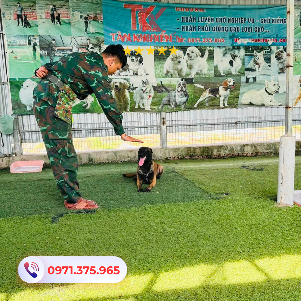 Chế độ dinh dưỡng và chăm sóc sức khỏe tại Tân Khuyển