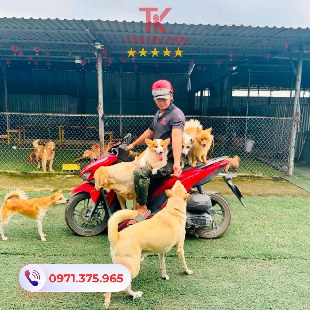 Cơ sở vật chất hiện đại, môi trường tập luyện lý tưởng