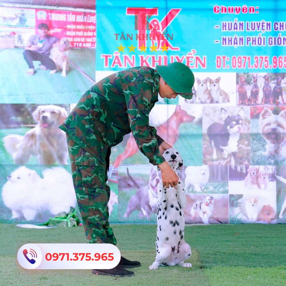 Điểm mạnh của trung tâm huấn luyện chó Tân Khuyển