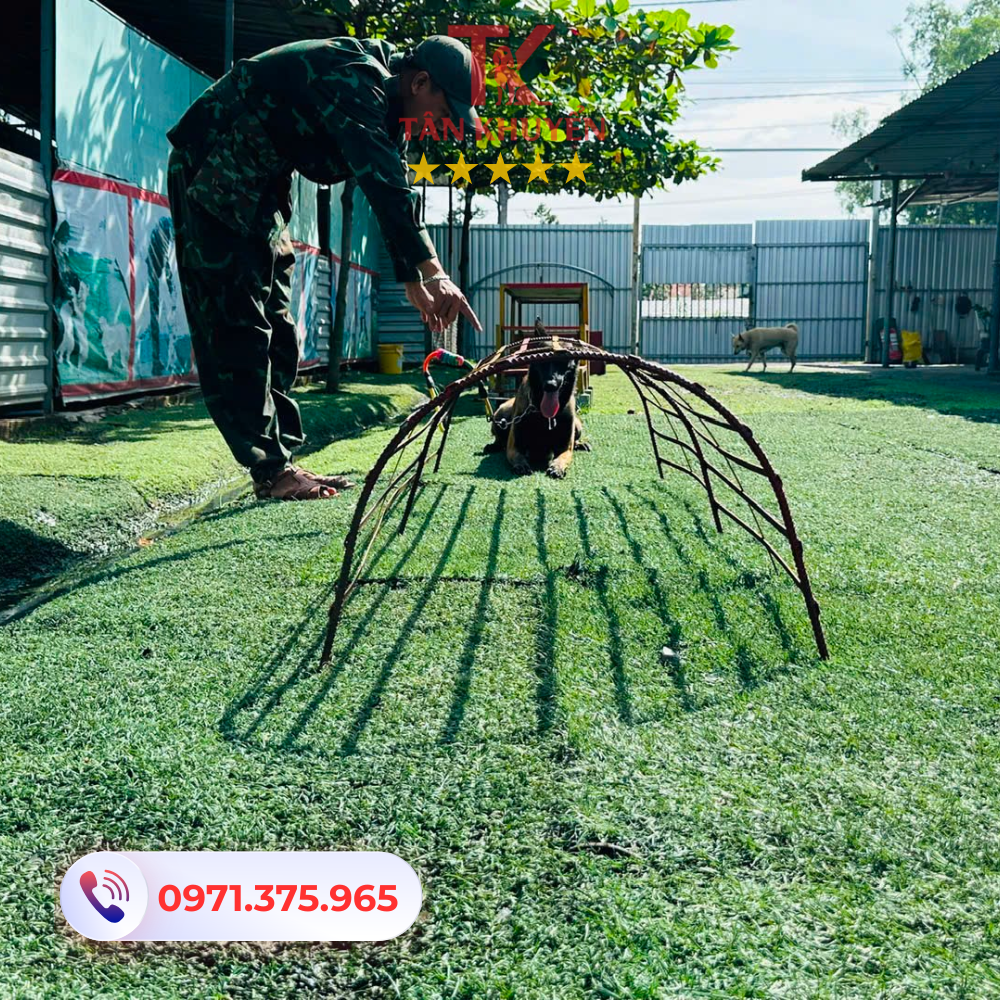 Điểm mạnh của trung tâm Tân Khuyển