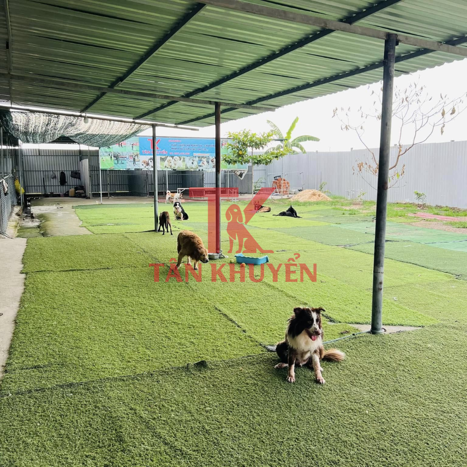 Đội ngũ huấn luyện viên và cơ sở vật chất