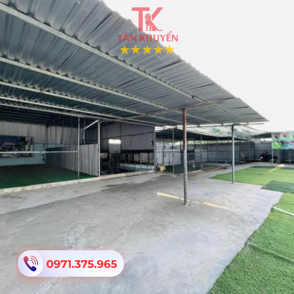 Giao tiếp và chăm sóc sức khỏe cho thú cưng