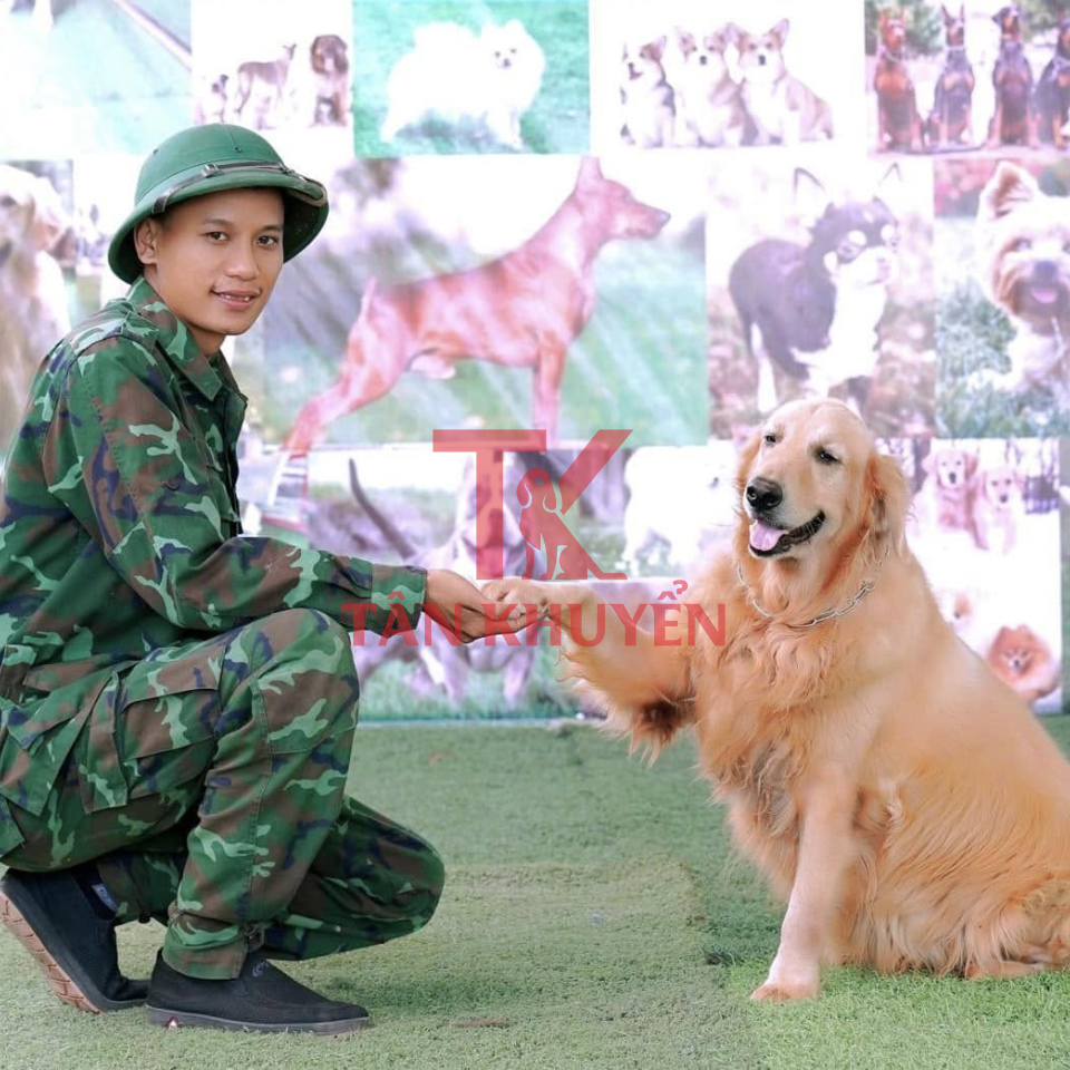 Giới thiệu về huấn luyện chó chuyên nghiệp