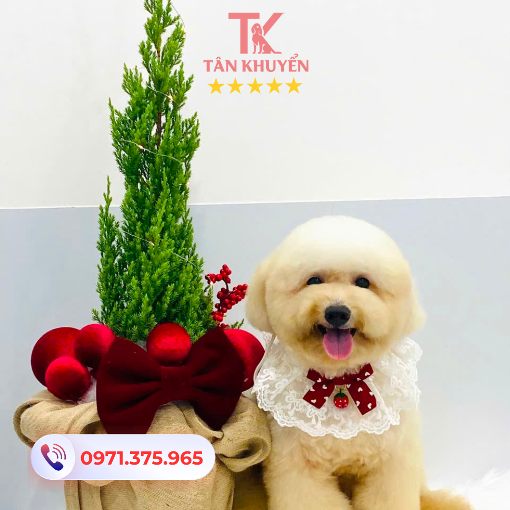 Hệ thống giám sát và theo dõi quá trình huấn luyện