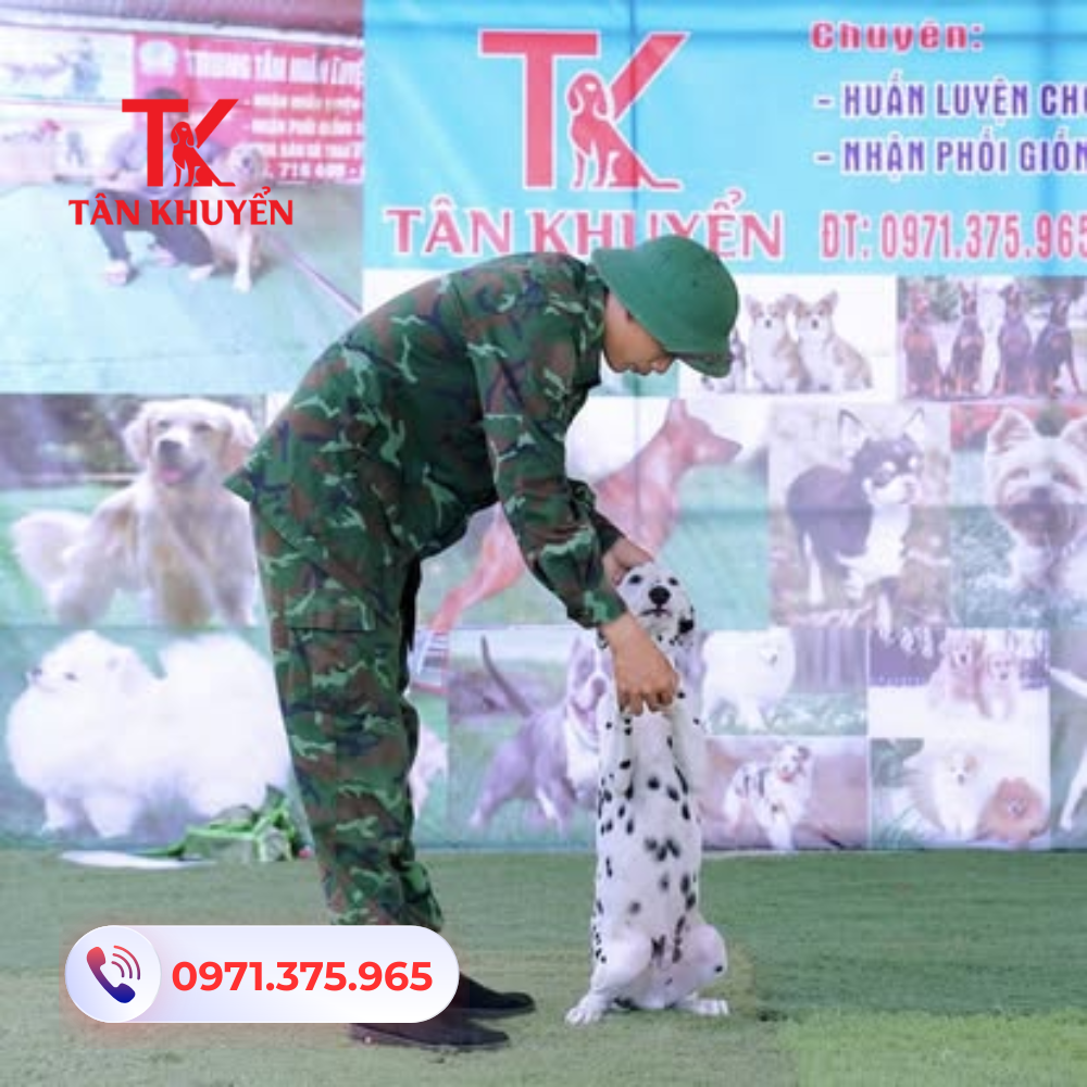 Hỗ trợ và giám sát trong quá trình huấn luyện