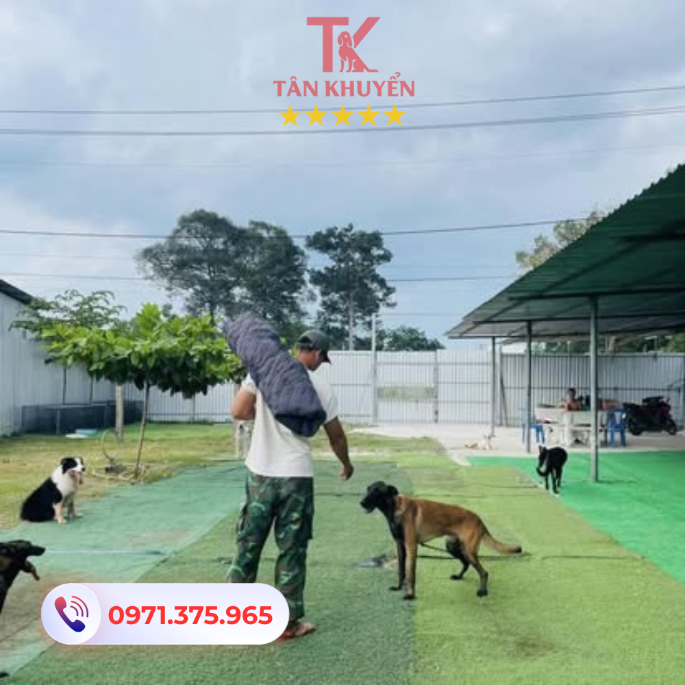 Lợi thế và điểm mạnh của Trung tâm Tân Khuyển