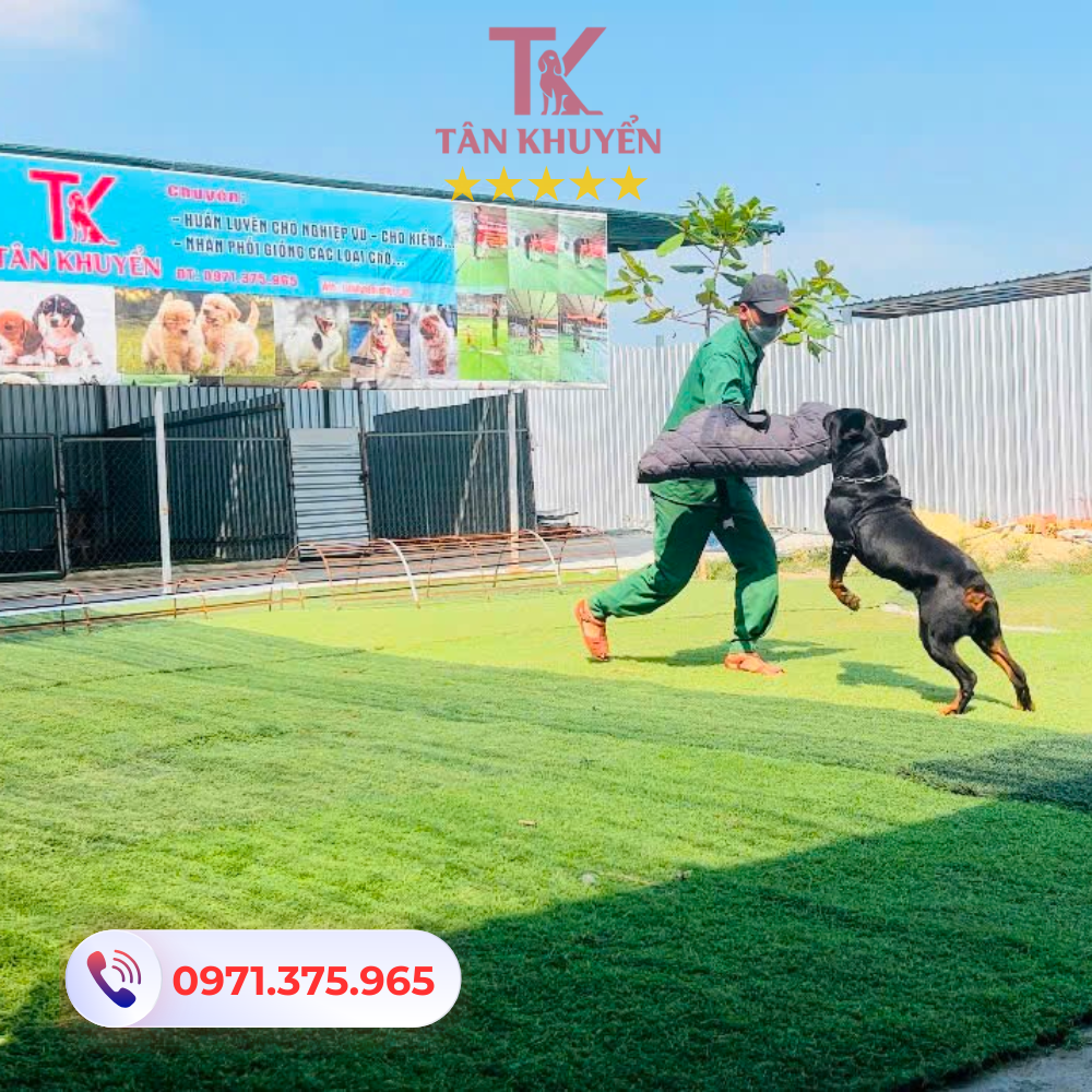 Mục tiêu và phương pháp huấn luyện