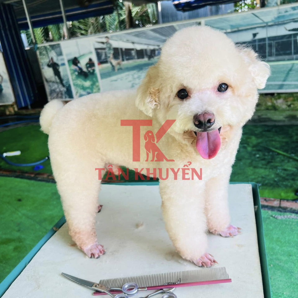 Quy trình huấn luyện tại trung tâm