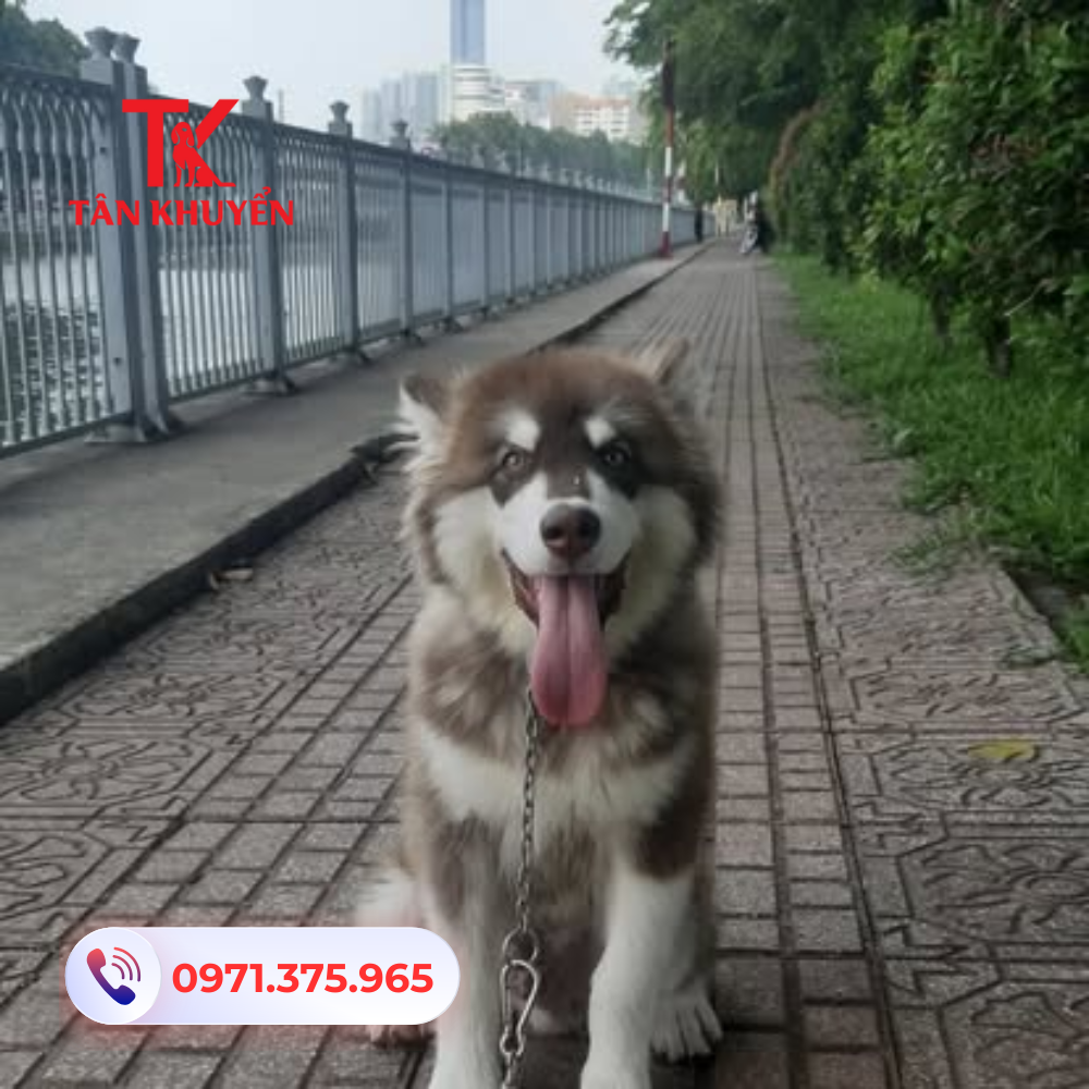 Thời gian, chi phí và chính sách của trung tâm