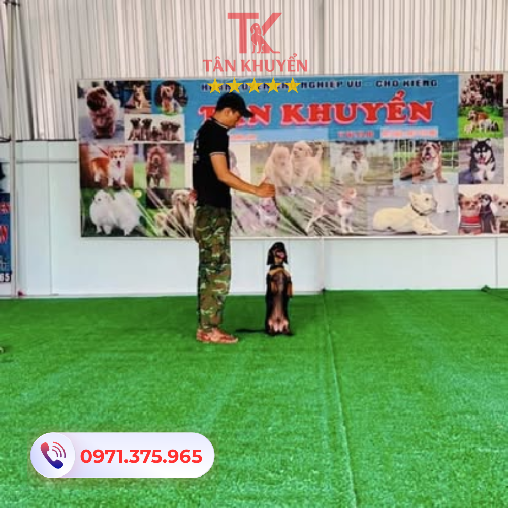 Thời gian, chi phí và chính sách đào tạo