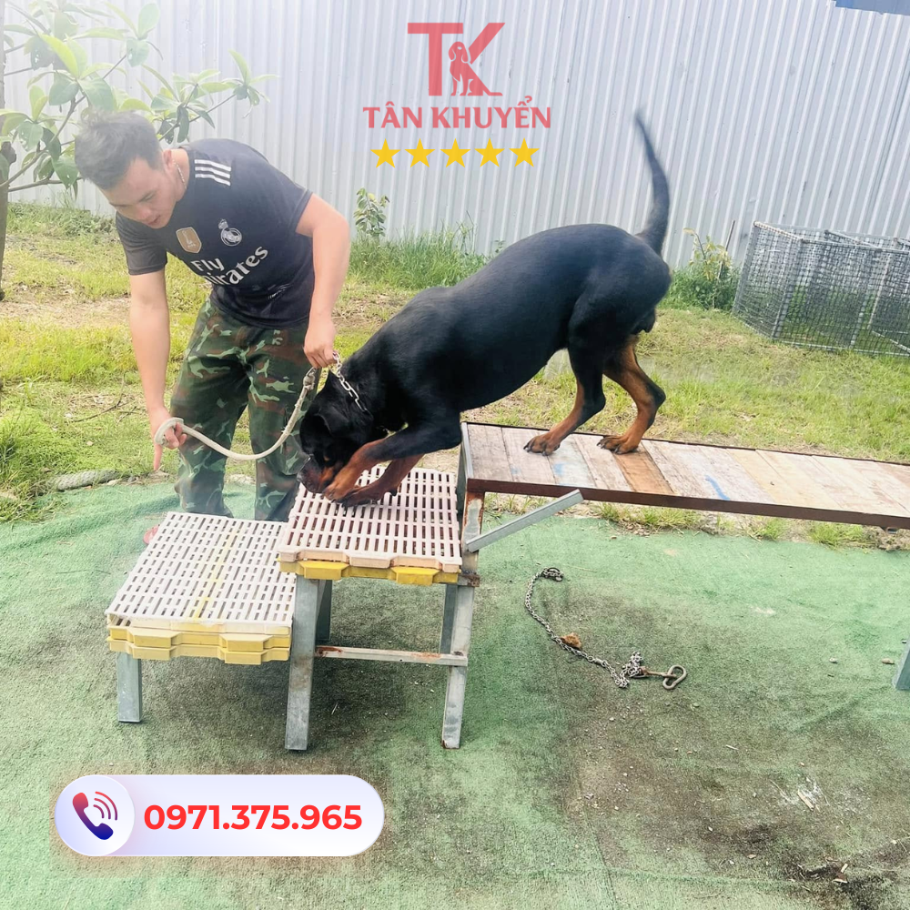 Trang thiết bị và cơ sở vật chất hiện đại